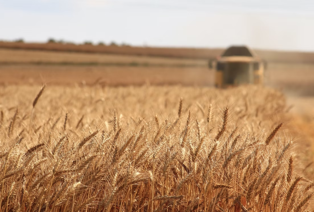 Bespovratna sredstva za održavanje naučno stručnih aktivnosti